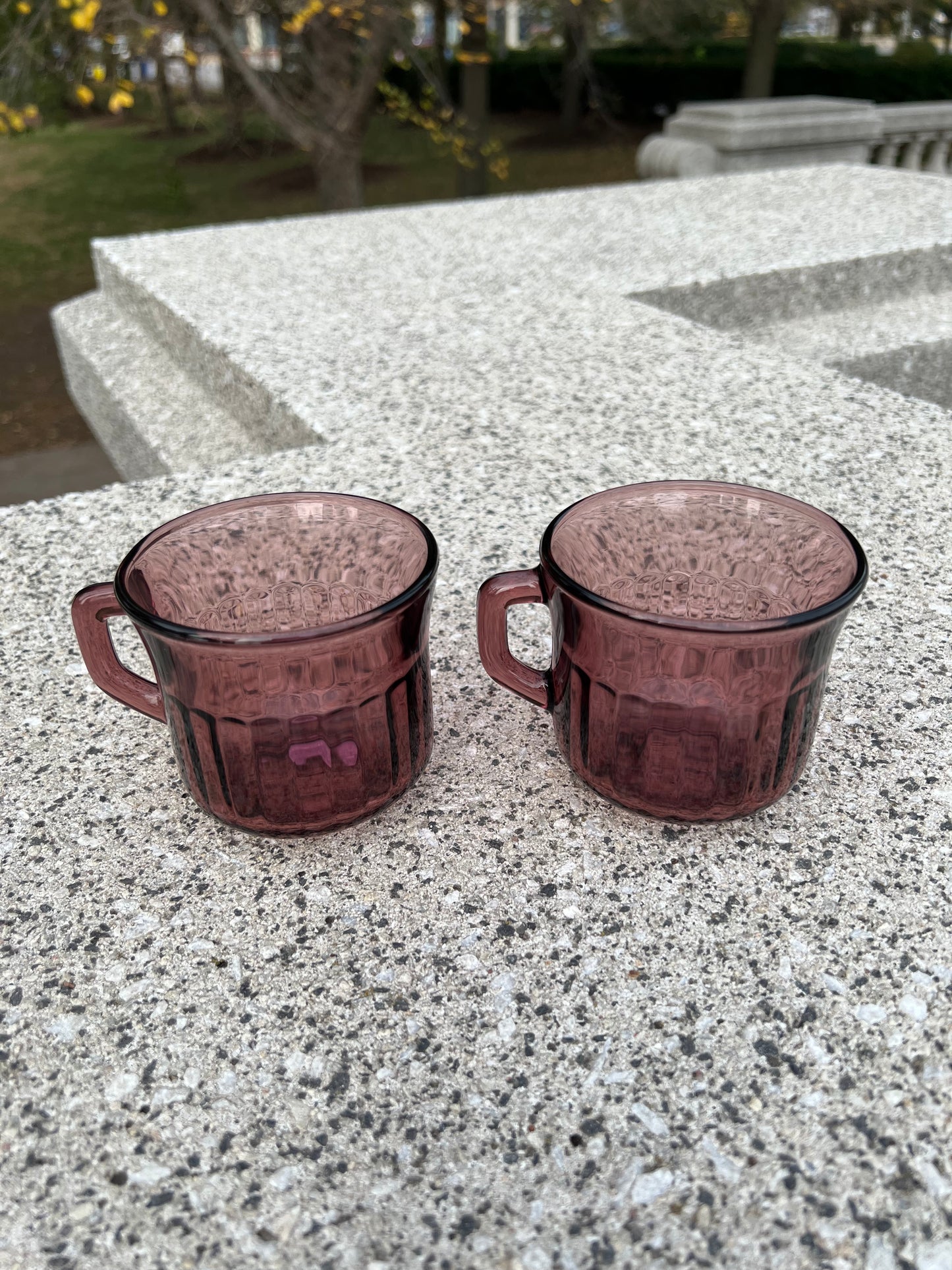 Plum Glass Coffee Cups