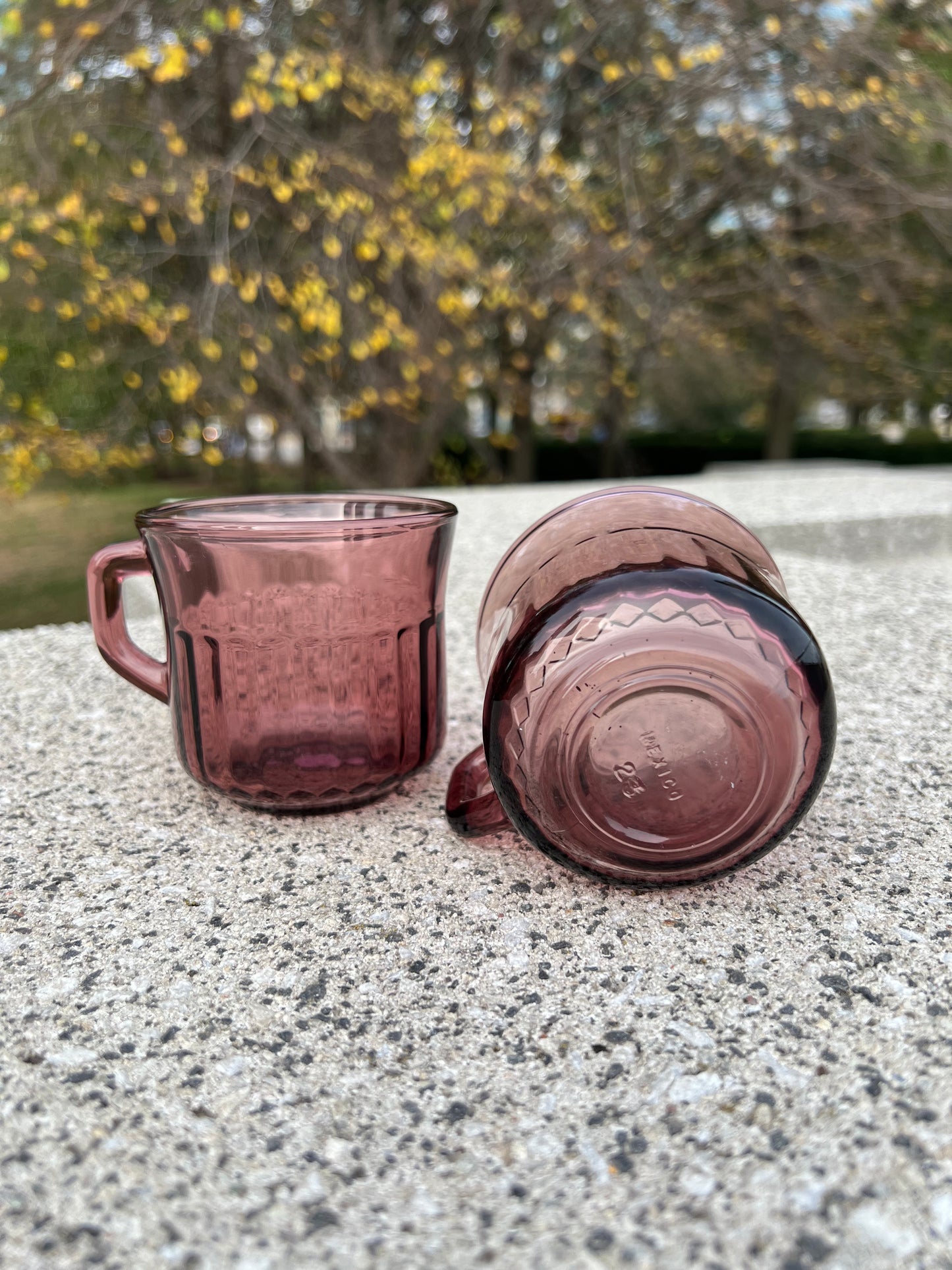 Plum Glass Coffee Cups